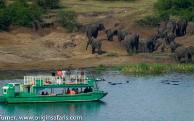UGANDA WITH ORIGINS SAFARIS – THE PEARL OF AFRICA