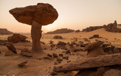 TRAVEL TO CHAD – “THE LAND OF EXTREMES” – WITH ORIGINS SAFARIS