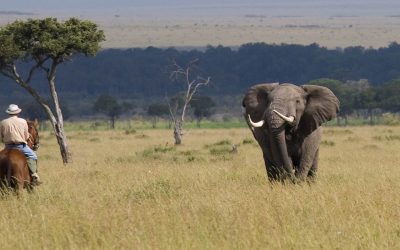 WALKING, RIDING & BOATING SAFARIS IN AFRICA WITH ORIGINS SAFARIS