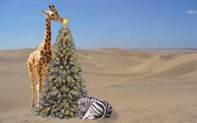 CHRISTMAS & NEW YEAR SAFARIS IN AFRICA WITH ORIGINS SAFARIS