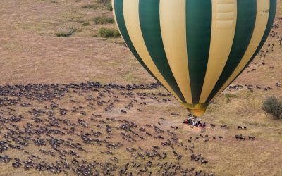 TAKE YOUR SAFARI EXPERIENCE TO THE SKY WITH ORIGINS SAFARIS