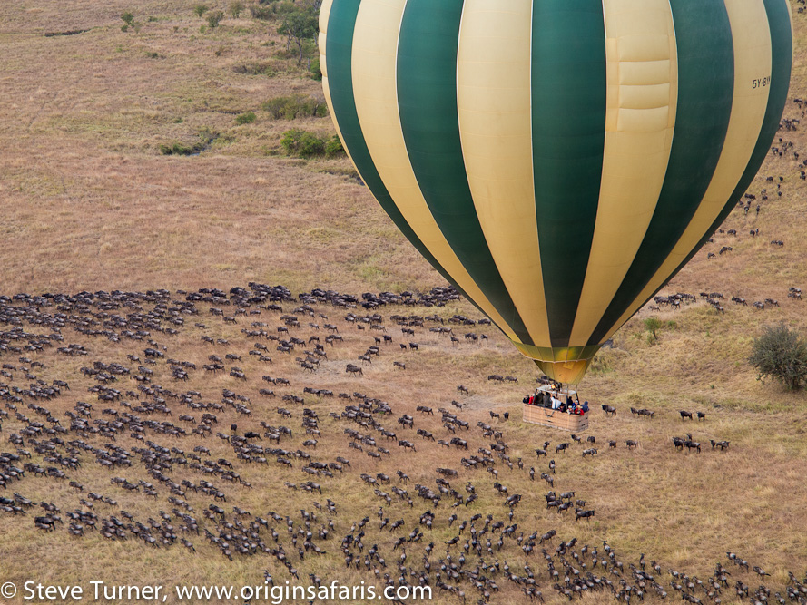 TAKE YOUR SAFARI EXPERIENCE TO THE SKY WITH ORIGINS SAFARIS
